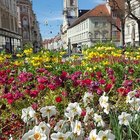 Kienreich - Moderne, Ruhige Altbauwohnung Im Herzen Der Altstadt